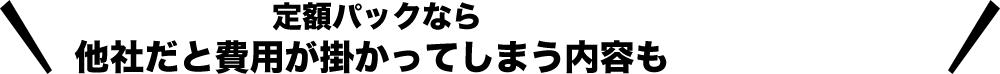 まいすたーの定額パックなら他社だと費用が掛かってしまう内容も